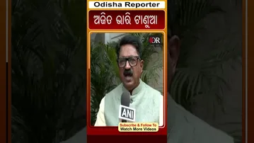 ଅଜିତ ଭାରି ଟାଣୁଆ #reels #ajitpawar #orshorts #OdishaReporter | Odisha Reporter