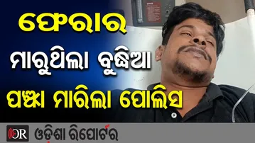 ଫେରାର ମାରୁଥିଲା ବୁଦ୍ଧିଆ ପଞ୍ଝା ମାରିଲା ପୋଲିସ | Odisha Reporter