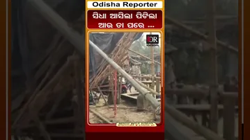 ସିଧା ଆସିଲା ପିଟିଲା | Odisha Reporter