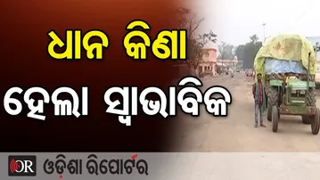 ଧାନ କିଣା ହେଲା ସ୍ବାଭାବିକ | Paddy Procurement Begins in Sambalpur | Dhana Mandi | Odisha Reporter