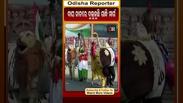 ବାଘ ନାଚରେ ଦୁଲୁକୁଛି ଗାନ୍ଧି ମାର୍ଗ #reels #orshorts #gandhimarg #republicday  | Odisha Reporter