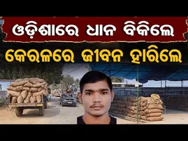 ଓଡ଼ିଶାର ଧାନ ବିକିଲେ , କେରଳରେ ଜୀବନ ହାରିଲେ  | Odisha Reporter