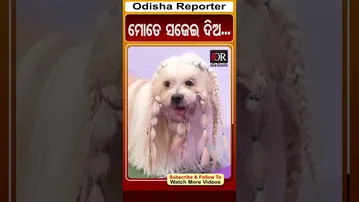 ମୋତେ ସଜେଇ ଦିଅ... | Odisha Reporter