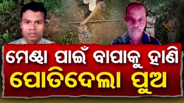 ମେଣ୍ଢା ପାଇଁ ବାପାକୁ ହାଣି ପୋତିଦେଲା ପୁଅ | Odisha Reporter