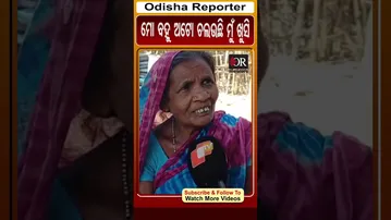 ମୋ ବହୁ ଅଟୋ ଚଲଉଛି ମୁଁ ଖୁସି | Odisha Reporter