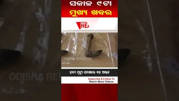 ସକାଳ 9ଟାର ମୁଖ୍ୟ ଖବର #OdishaReporter #8amHeadlines