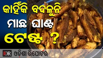 କାହିଁକି ବଦଳୁନି ମାଛ ଘାଣ୍ଟ ଟେଷ୍ଟ ? | Odisha Reporter