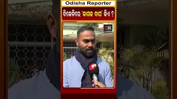 ବିଜେଡିରେ କାଗଜ ବାଘ କିଏ ? | Odisha Reporter