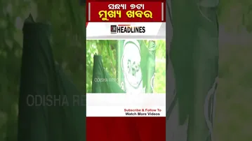 7ଟାର ମୁଖ୍ୟ ଖବର | Odisha Reporter