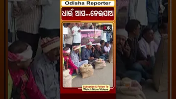 ଧାଇଁ ଆସ...ନେଇଯାଅ | #farmersprotest #sambalpur #odishareporter