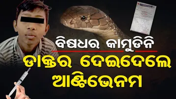 ବିଷଧର କାମୁଡ଼ିନି , ଡାକ୍ତର ଦେଇଦେଲେ ଆଣ୍ଟିଭେନମ୍  | Odisha Reporter