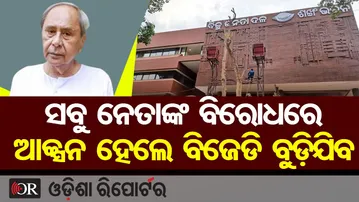ସବୁ ନେତାଙ୍କ ବିରୋଧରେ ଆକ୍ସନ ହେଲେ ବିଜେଡି ବୁଡ଼ିଯିବ || Big Warning in Odisha Politics || BJD in Trouble?