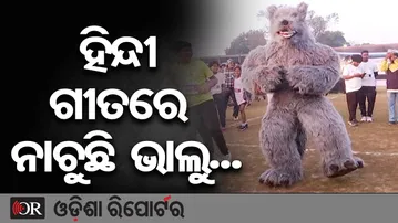 ହିନ୍ଦୀ ଗୀତରେ ନାଚୁଛି ଭାଲୁ... | Odisha Reporter