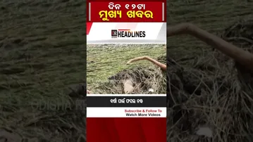 ମଧ୍ୟାହ୍ନ ୧୨ଟାର ମୁଖ୍ୟ ଖବର   | Odisha Reporter