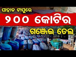 ପାହାଡ ଟାପୁରେ 200 କୋଟିର ଗଞ୍ଜେଇ ତେଲ | Operation Green Clean |  Illicit Cannabis Oil | Koraput | OR