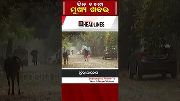 ଦିନ 12ଟାର ମୁଖ୍ୟଖବର  | Odisha Reporter|