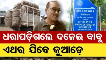 ଧରାପଡ଼ିଲେ ଦଳେଇ ବାବୁ , ଏଥର ଯିବେ କୁଆଡ଼େ  | Odisha Reporter