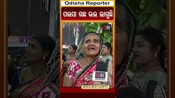 ପଇସା ଗଛ ଭଲ ଲାଗୁଛି | Odisha Reporter