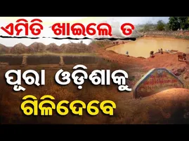 ଏମିତି ଖାଇଲେ ତ ପୂରା ଓଡ଼ିଶାକୁ ଗିଳିଦେବେ । | Odisha Reporter