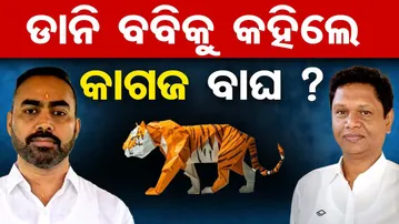 ଡାନି ବବିକୁ କହିଲେ କାଗଜ ବାଘ ? || Bobby Das || Pritiranjan Gharai || Jajpur Politics || BJD || OR