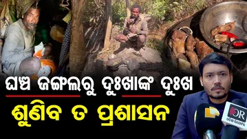 Special Story | ବିଚିତ୍ର ମଣିଷ, ଗାଁ ଛାଡ଼ି ଘଞ୍ଚ ଜଙ୍ଗଲରେ ରହୁଛନ୍ତି, ମୁଖ୍ୟ ଖାଦ୍ୟ ଜଙ୍ଗଲୀ କନ୍ଦା | OR