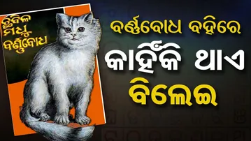 ବର୍ଣ୍ଣବୋଧ ବହିରେ କାହିଁକି ଥାଏ ବିଲେଇ ? | Odisha Reporter