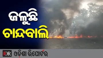 ଜଳୁଛି ଚାନ୍ଦବାଲି | Odisha Reporter