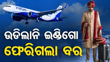 ଉଡ଼ିଲାନି ଇଣ୍ଡିଗୋ , ଫେରିଗଲା ବର  | Odisha Reporter