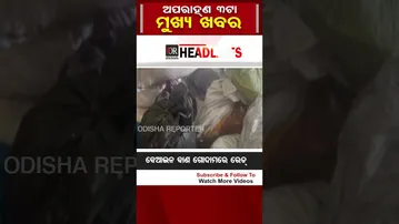 ଦିନ 3ଟାର ବଡ଼ ଖବର #Odisha #3PMHeadlines | Odisha Reporter