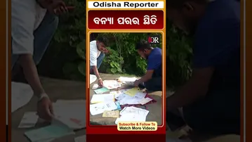 ସମ୍ୱଲପୁରରେ ବନ୍ୟା ପରର ସ୍ଥିତି | Odisha Reporter