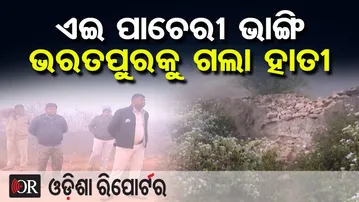 ଏଇ ପାଚେରୀ ଭାଙ୍ଗି ଭରତପୁରକୁ ଗଲା ହାତୀ | Elephants Return to Forest | Shikharchandi Hill Bhubaneswar |OR