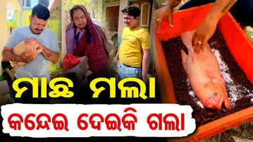 ମାଛ ମଲା କନ୍ଦେଇ ଦେଇକି ଗଲା  | Odisha Reporter