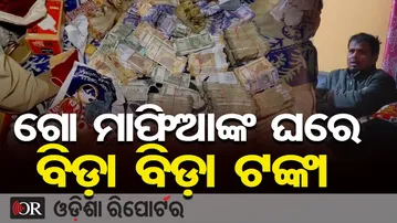 ଗୋ ମାଫିଆଙ୍କ ଘରେ ବିଡ଼ା ବିଡ଼ା ଟଙ୍କା | Bhadrak Cow Smuggling Case | Keonjhar Police | Odisha Reporter