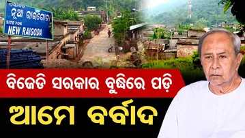 BJD ବୁଦ୍ଧିରେ ପଡ଼ି ଆମେ ବର୍ବାଦ  |New Raigoda Village Exposes Dark Side of Satkosia Tiger Project |OR