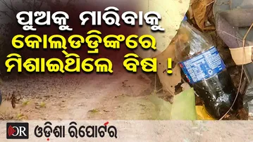 ଏଇ ଜଙ୍ଗଲରେ ରାତି ବିତାଇଥିଲା କୁନି ପୁଅ | Heartbreaking Incident in Deogarh | Family Dispute Turns Fatal