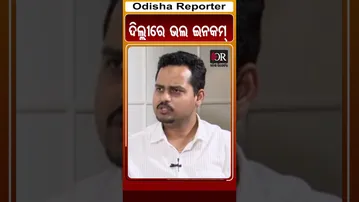 ଦିଲ୍ଲୀରେ ଭଲ ଇନକମ୍ | Odisha Reporter
