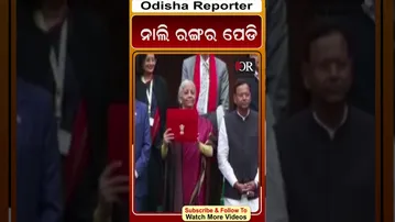 ନାଲି ରଙ୍ଗର ପେଡି || Odisha Reporter