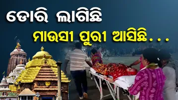 ଡୋରି ଲାଗିଛି, ମାଉସୀ ପୁରୀ ଆସିଛି | Odisha Reporter