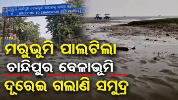 ମରୁଭୂମି ପାଲଟିଲା ଚାନ୍ଦିପୁର ବେଳାଭୂମି … ଦୂରେଇ ଗଲାଣି ସମୁଦ୍ର | Chandipur Beach Balasore | Odisha Reporter