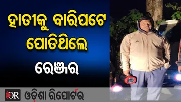 ହାତୀକୁ ବାରିପଟେ ପୋତିଥିଲେ ରେଞ୍ଜର | Elephant Death Mystery in Odisha Forest | Deputy Ranger Under Fire