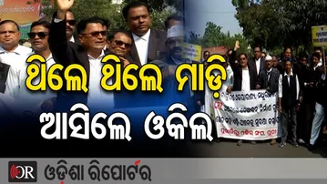 ଥିଲେ ଥିଲେ ମାଡ଼ି ଆସିଲେ ଓକିଲ | Odisha Reporter