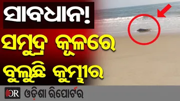 ଅସ୍ତରଙ୍ଗ ସମୁଦ୍ର ଯାଉଛନ୍ତି କି ସାବଧାନ ! | Odisha Reporter