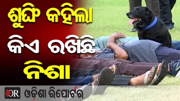 ଶୁଙ୍ଘି କହିଲା କିଏ ରଖିଛି ନିଶା | Odisha Reporter