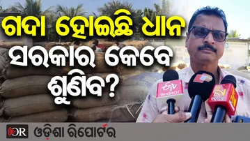 ଗଦା ହୋଇଛି ଧାନ ସରକାର କେବେ ଶୁଣିବ? | Odisha Reporter