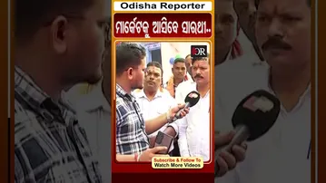 ମାର୍କେଟକୁ ଆସିବେ ସାରଥୀ.. | #OdishaReporter | Odisha Reporter