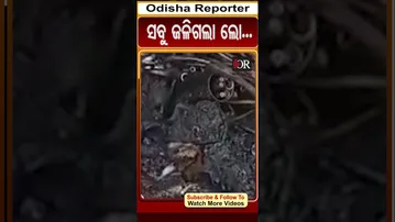 ସବୁ ଜଳିଗଲା ଲୋ... | Odisha Reporter