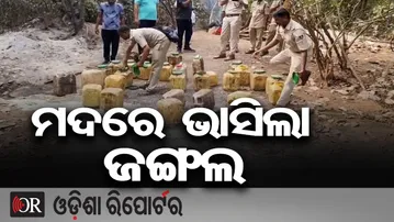 ମଦରେ ଭାସିଲା ଜଙ୍ଗଲ | Odisha Reporter