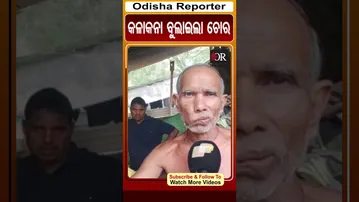 କଳାକନା ବୁଲାଇଲା ଚୋର | #odishareporter #dasapalla #loot
