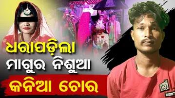 ଧରାପଡ଼ିଲା ମାଗୁର ନିଶୁଆ କନିଆ ଚୋର || Balangir Bride Kidnapping Case || Tarbha Police || Odisha Reporter