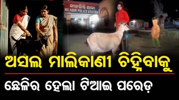 ଅସଲ ମାଲିକାଣୀ ଚିହ୍ନିବାକୁ ଛେଳିର ହେଲା ଟିଆଇ ପରେଡ୍  | Odisha Reporter